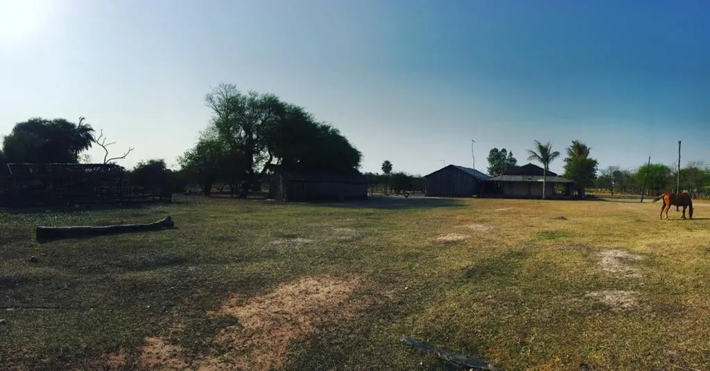 VENDO 500 HECTAREAS EN VILLA OLIVA COD 3511 — foto 3