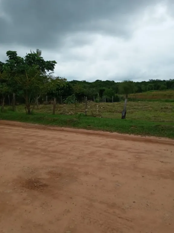 ESCOBAR PARAGUARI TERRENO 16X200 VISTA PANORAMICA SOBRE CALLE PRINCIPAL LUZ AGUA CORRIENTE — foto 2