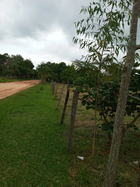 ESCOBAR PARAGUARI TERRENO 16X200 VISTA PANORAMICA SOBRE CALLE PRINCIPAL LUZ AGUA CORRIENTE — foto 3