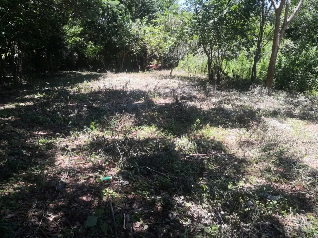 Vendo Terreno en Ñemby Barrio Villa Leticia — foto 3
