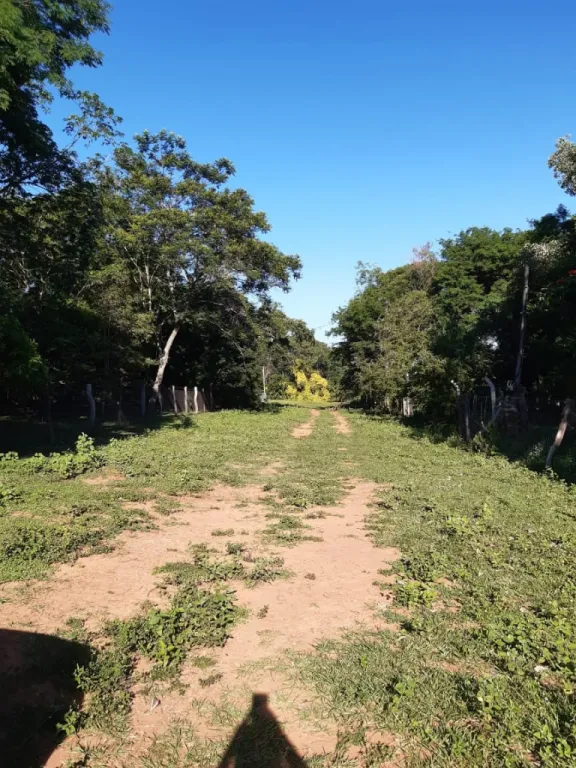 Vendo Terreno en Atyra — foto 2