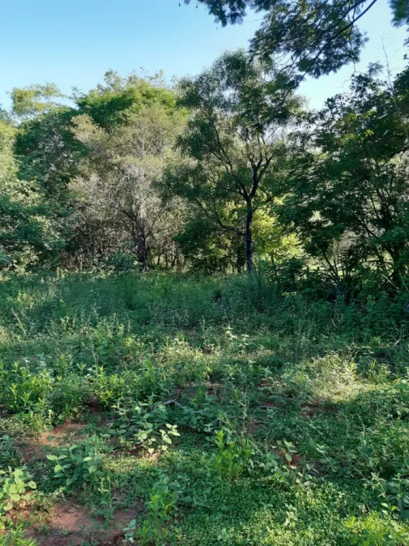 Vendo Terreno en Atyra — foto 3