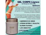 Gel reductor de grasa localizada.