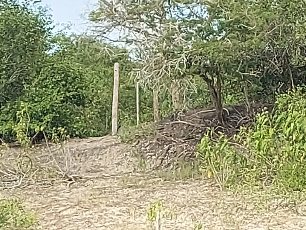 VENDO TERRENO SOBRE RIO EN BAHIA NEGRA — foto 2