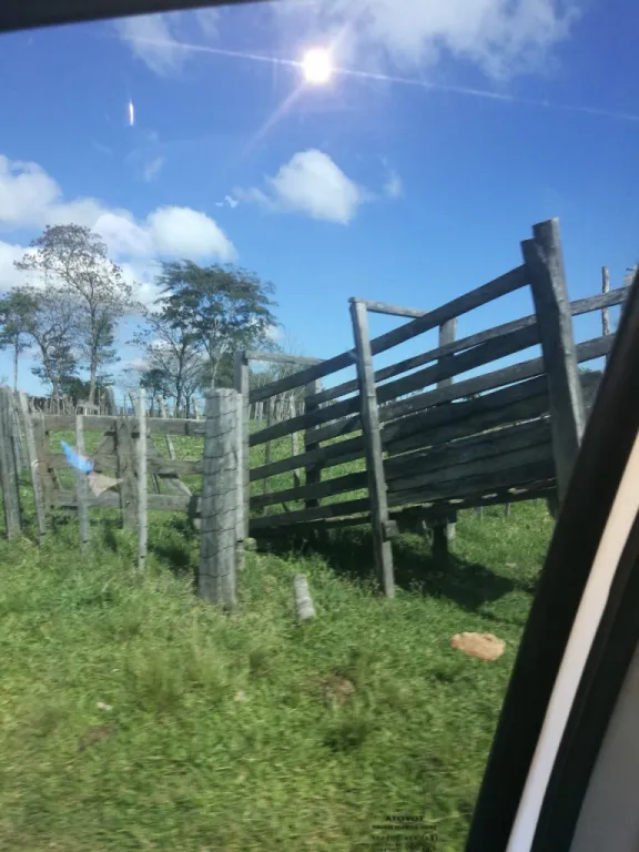 Anuncio 1786888 — foto 2