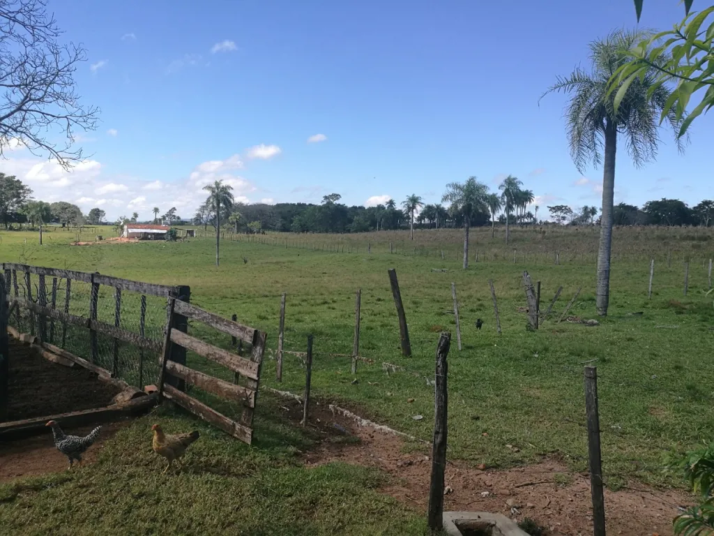 Anuncio 1786888 — foto 3