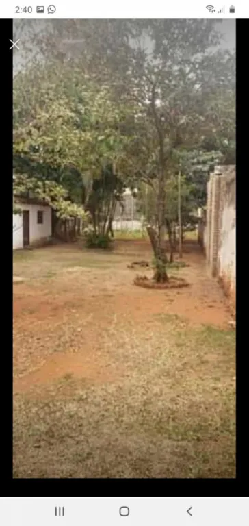 LILIO CASI CNEL ESCURRA HERMOSO TERRENO 668 M2. — foto 3