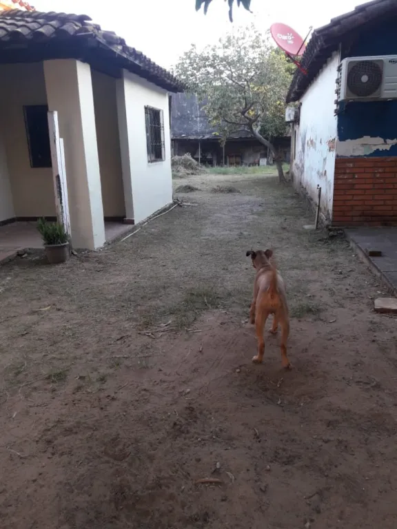 Alquilo casa en trinidad — foto 3