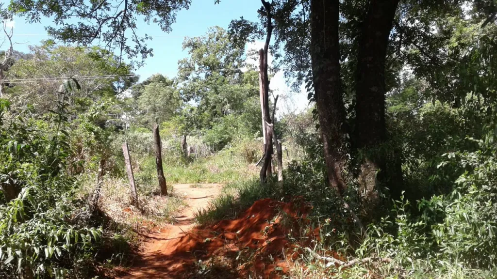 Vendo propiedad zona La Colmena — foto 2
