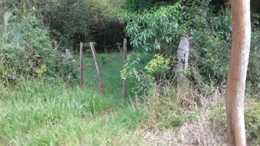 Vendo propiedad zona La Colmena — foto 3