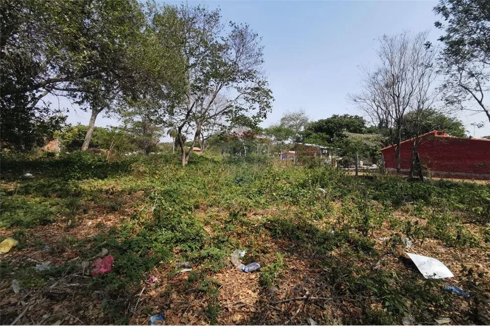 SE VENDE TERRENO EN SALADO LIMPIO — foto 3