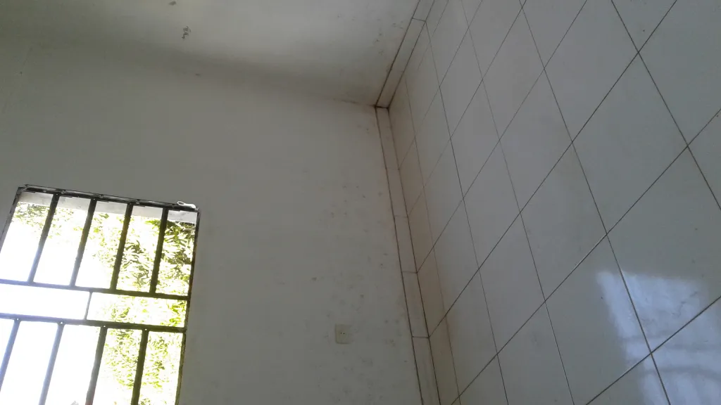 AM Consultora alquila 2 salones juntos — foto 3
