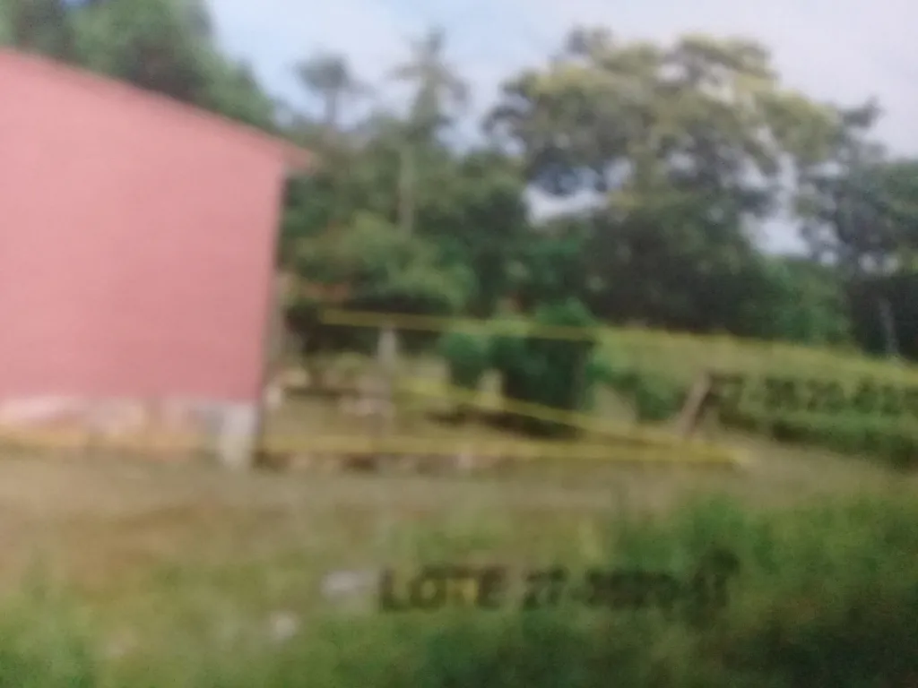 TERRENO EN VENTA EN NEMBY - CAÑADITA — foto 3