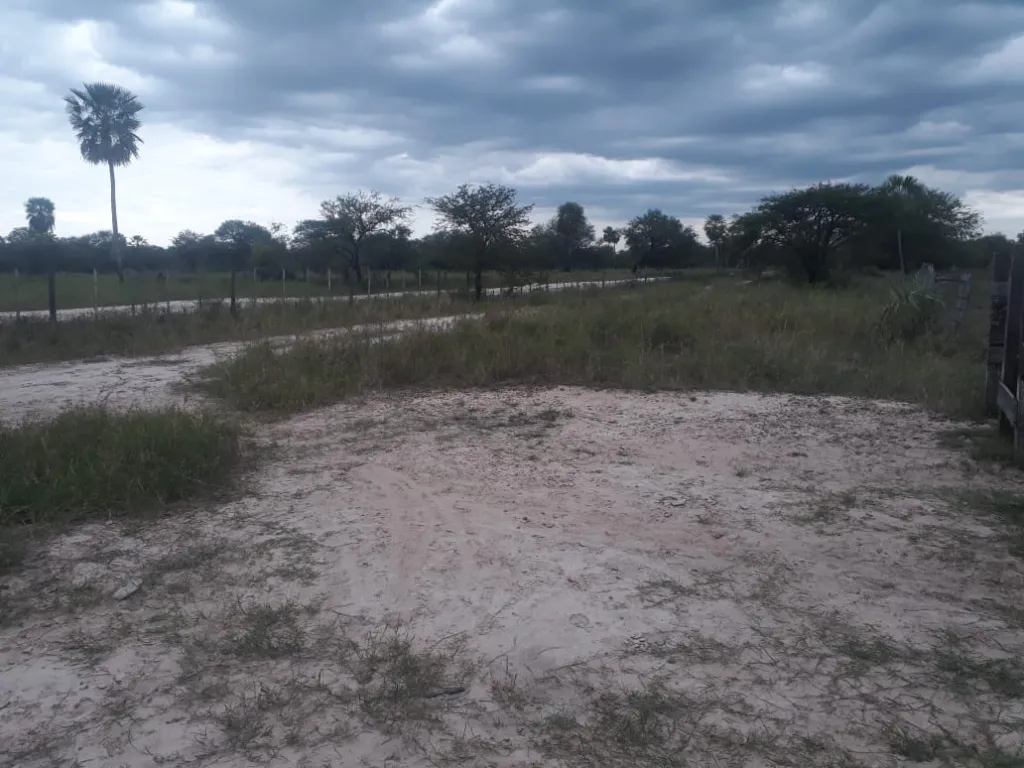 CHACOÍ: 25 HAS IDEALES P EXPANSIÓN INMOBILIARIA! - 200.000.000 GS HA. — foto 3