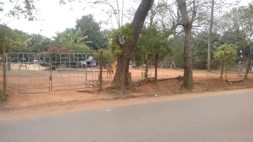 Terreno en San Lorenzo — foto 2