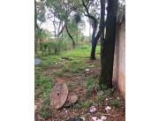 Limpieza de terrenos, bobcat, desmalezadora, baldíos, jardinería