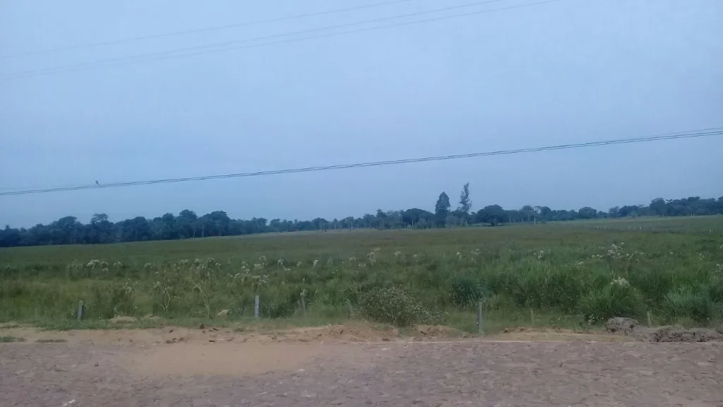 AYOLAS. CORATEi 28ha ZONA DEL RIO RIACHO CUREi — foto 3