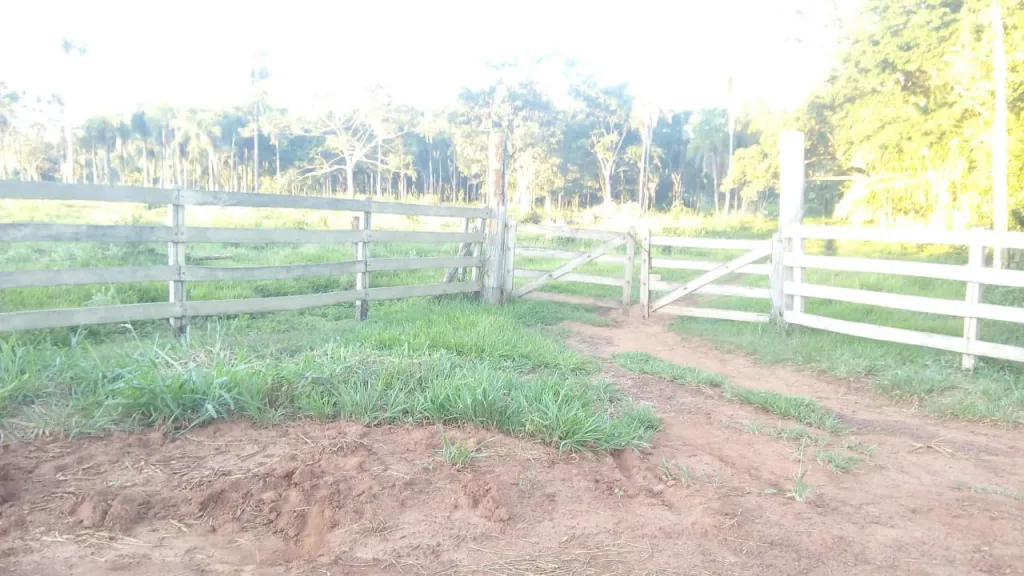Campo en Cuero Fresco 101 hectáreas — foto 3