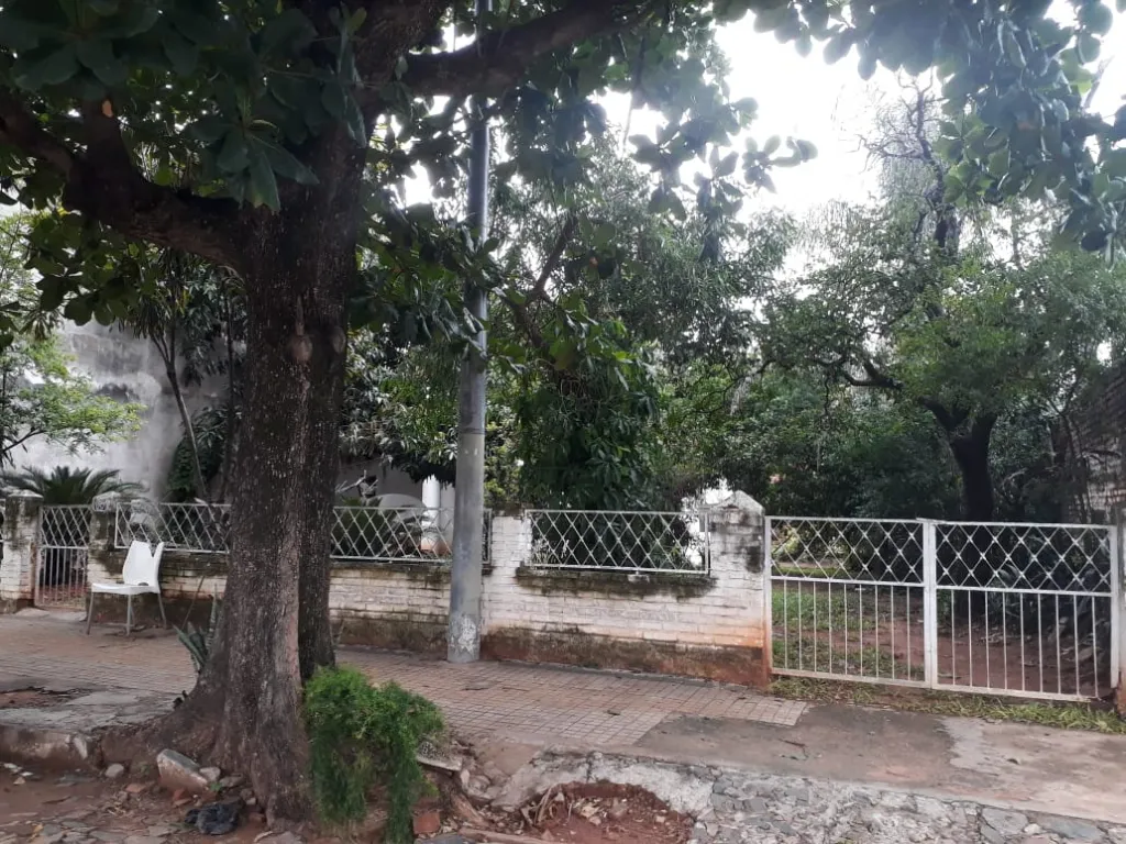 🌳VENDO TERRENO EN YCUA SATI🌳 — foto 2