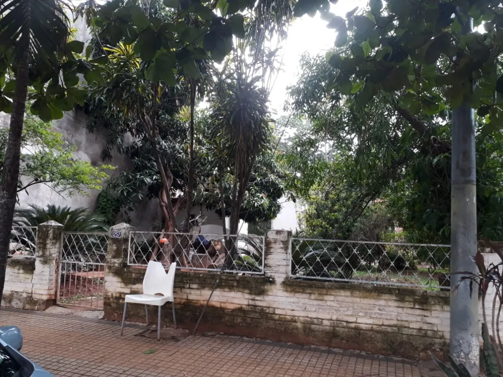🌳VENDO TERRENO EN YCUA SATI🌳 — foto 3