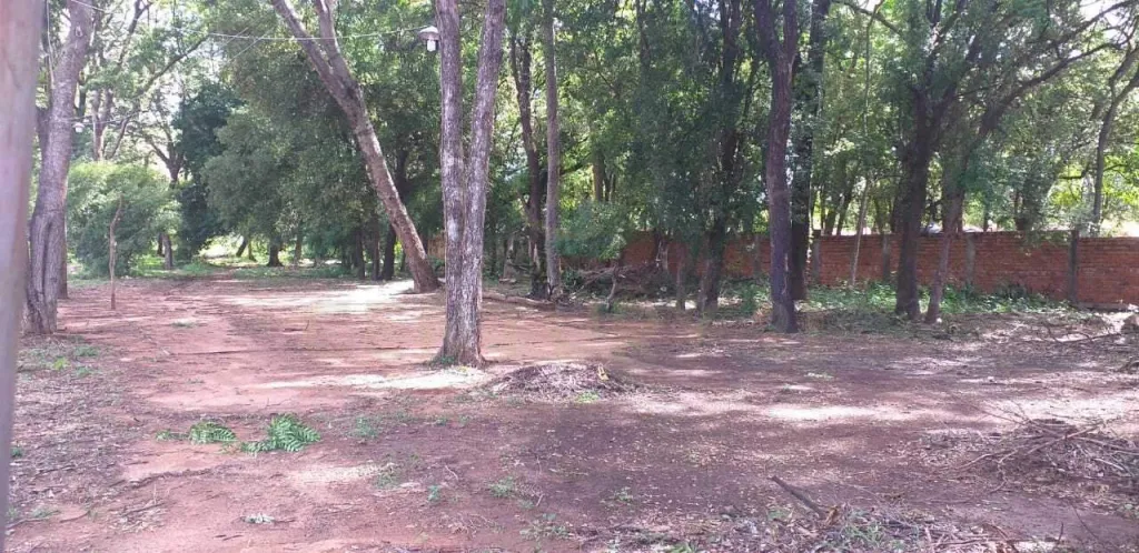 Terreno ubicado en la mejor zona de San Lorenzo. — foto 2