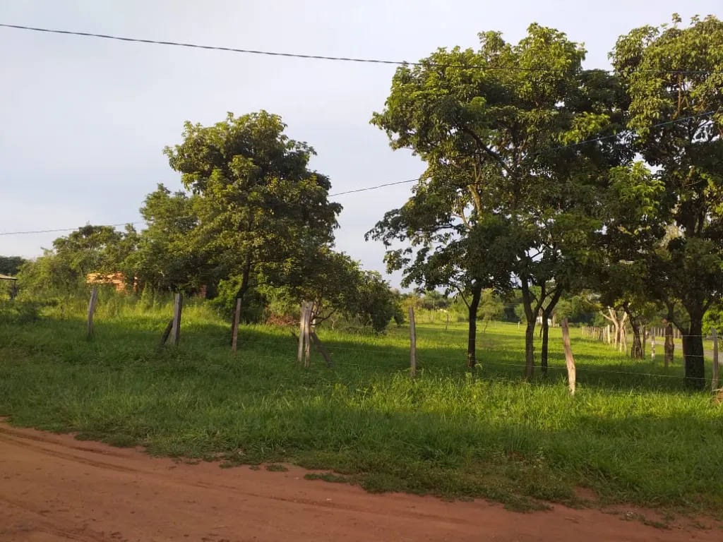 🌳EN VENTA 2 TERRENOS EN ESQUINA — foto 2