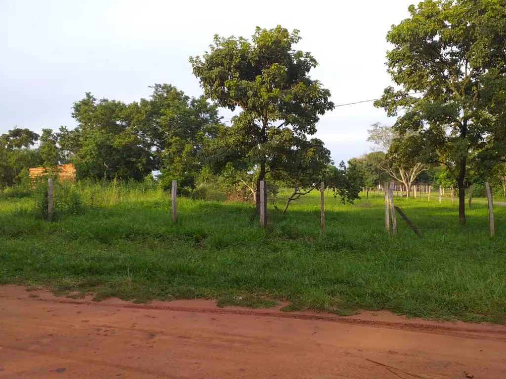 🌳EN VENTA 2 TERRENOS EN ESQUINA — foto 3