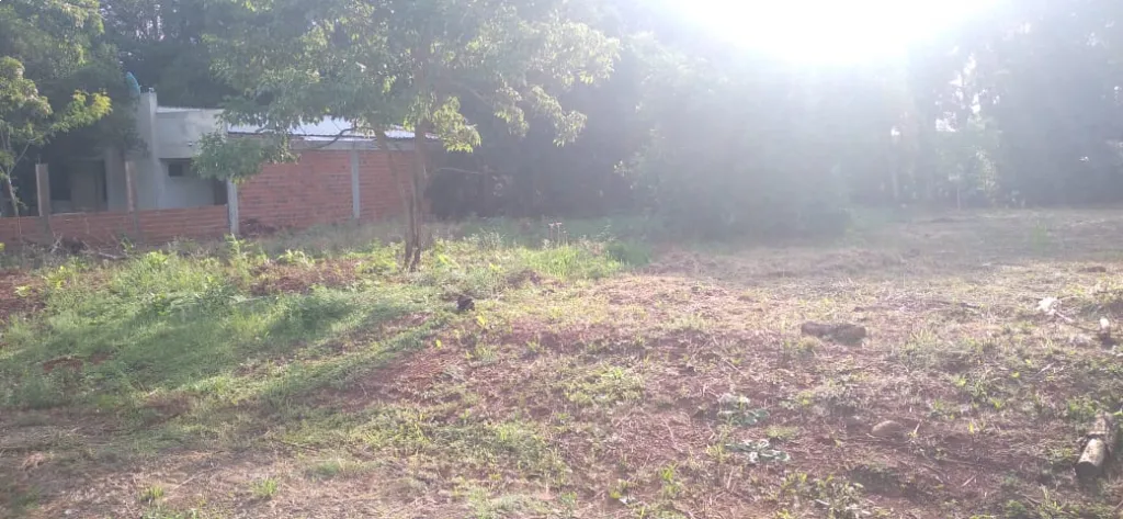 VENDO TERRENO EN ENCARNACION — foto 2