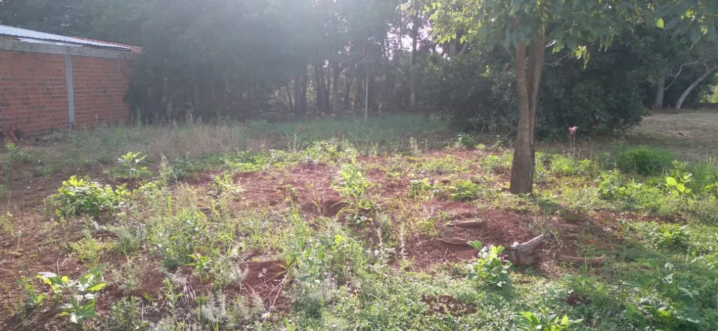 VENDO TERRENO EN ENCARNACION — foto 3