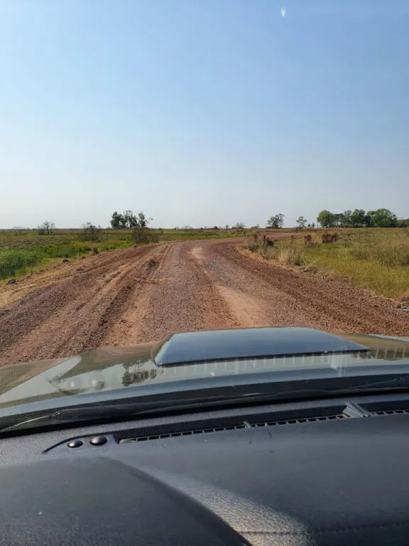 1.640 hectáreas. De las cuales 1.000 hectáreas. Sobre Asfaltado. Misiones. Vendo Total — foto 2