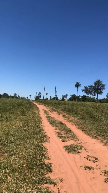 VENDO DOS HERMOSOS TERRENOS EN ALTOS — foto 2