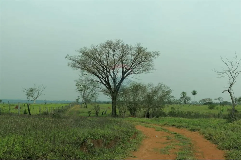Vendo Campo en Villa Ygatimi 540,000 USD — foto 2