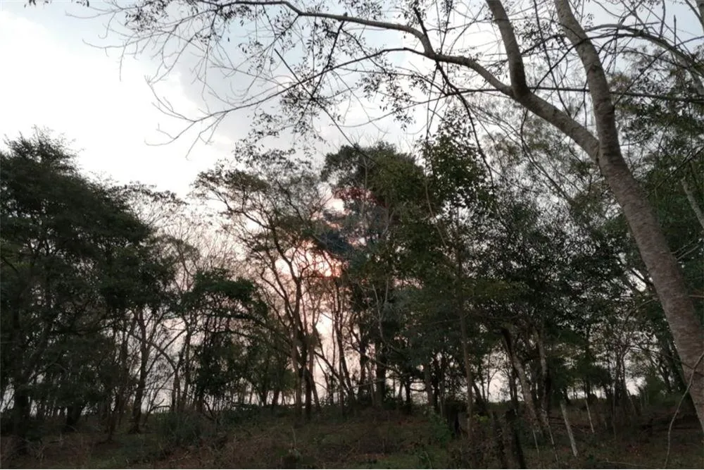 Vendo Campo en Villa Ygatimi 540,000 USD — foto 3