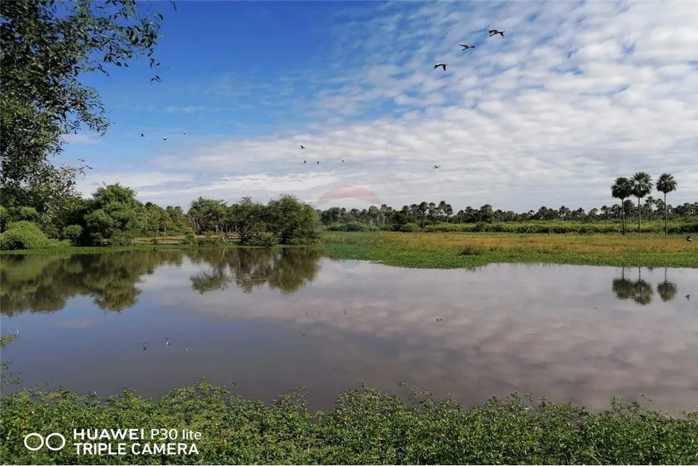 Venta campo 1.600 Ha. Alto Paraguay Bahia Negra Fortin Florida — foto 2