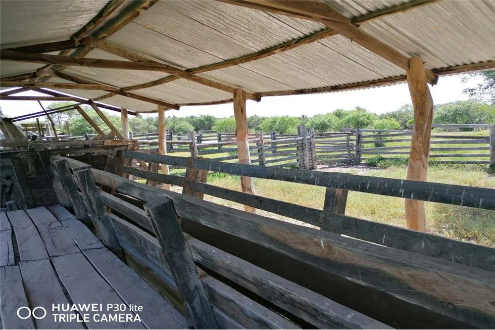 Venta campo 1.600 Ha. Alto Paraguay Bahia Negra Fortin Florida — foto 3