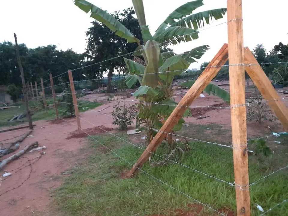 EN VENTA AMPLIO TERRENO EN LA CIUDAD DE LIMPIO — foto 2