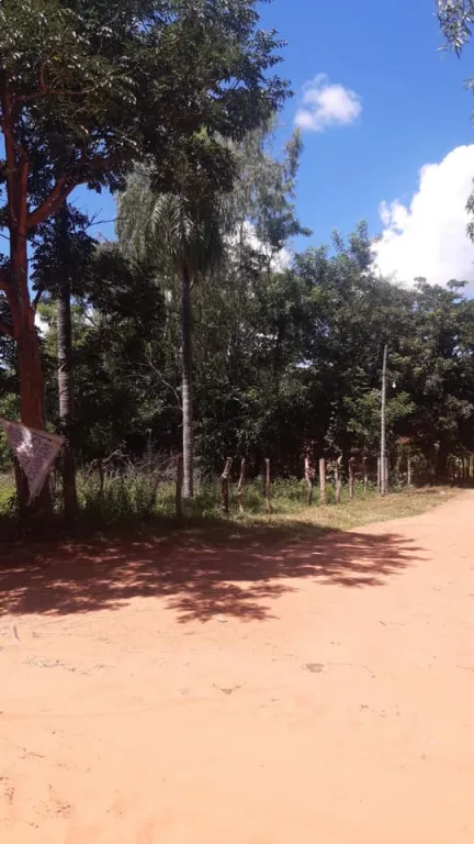 OFERTA!!! TERRENO AMPLIO EN LUQUE-LIMPIO — foto 2