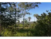Vendo 6 has 7880 a 6 km de la Basilica de Caacupè 430,000,000 ₲