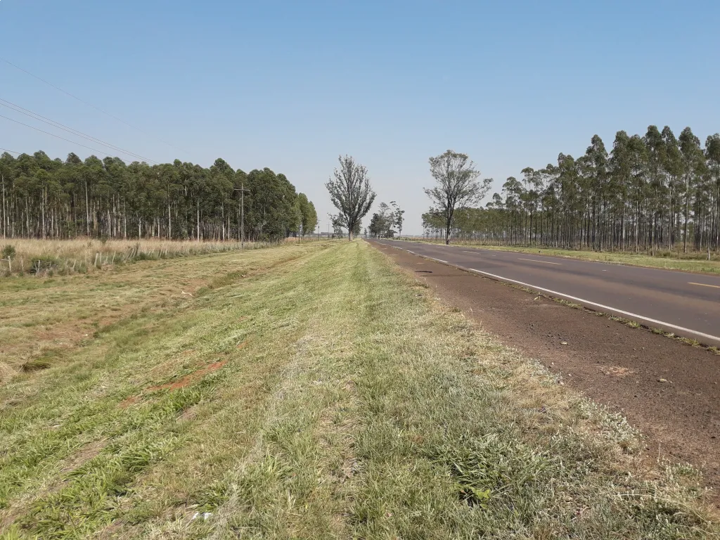VENDO CAMPO DE 50.9 HAS SOBRE RUTA 1 — foto 2