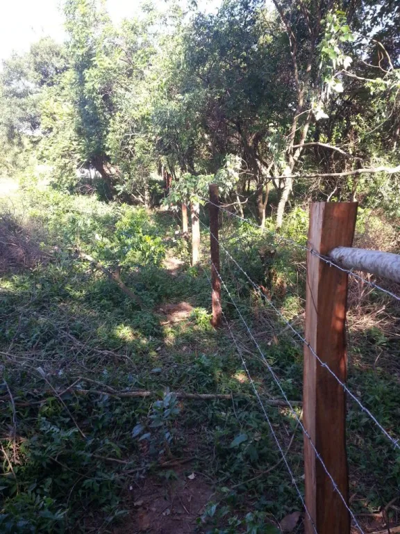 VENDO TERRENO EN SAN COSME Y DAMIAN. 5000m2 — foto 3