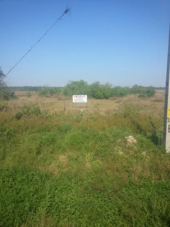 VENDO PROPIEDAD 38 HAS. SOBRE RUTA VILLETA-ALBERDI. — foto 2