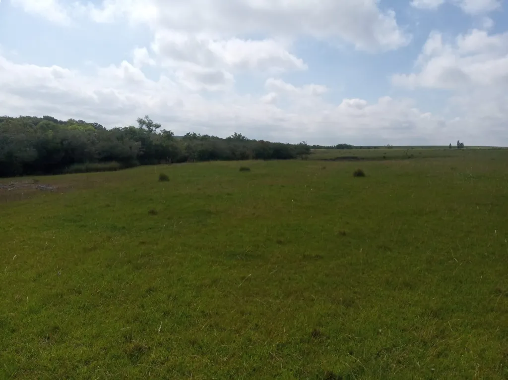 FLORIDA URUGUAY VENDO CAMPO CON RIO — foto 3