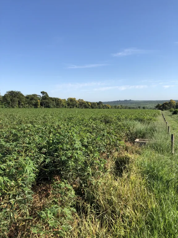 Atención Inversionistas...Vendo campo de 50 ha sobre ruta en Departamento de Canindeyu. — foto 3