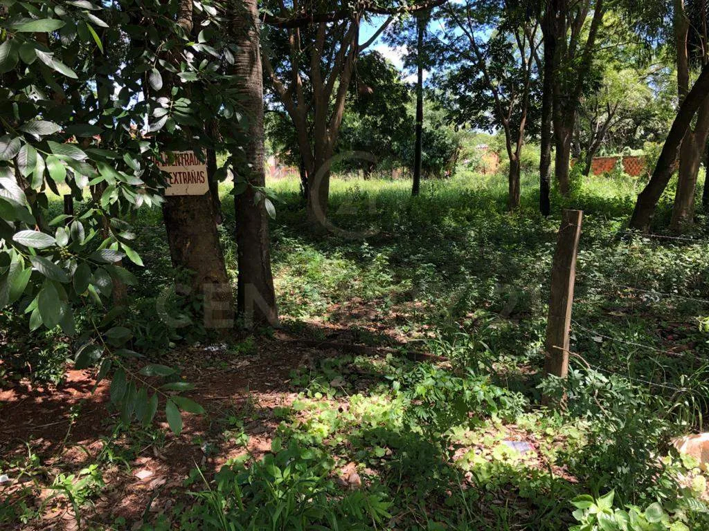 Terreno a la venta zona exclusiva de San Lorenzo. Kubistchek y Saturio Rios. — foto 3