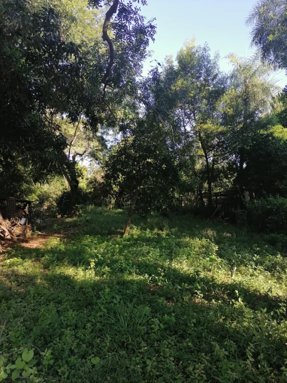 VENDO!!! TERRENO TITULADO EN SAN ANTONIO — foto 2