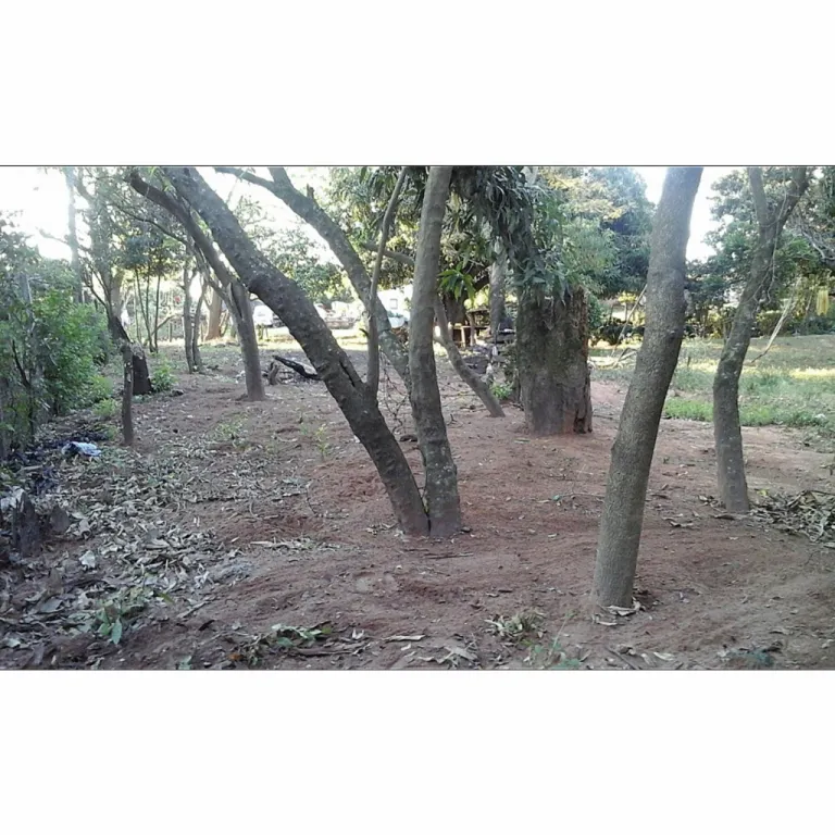 VENDO!!! TERRENO TITULADO EN SAN ANTONIO — foto 3