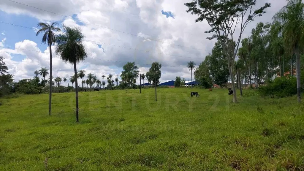 TERRENO DE 6,5 has sRuta 3 Gral. Elizardo Aquino, pIndustria o Ctro Logístico - Limpio. — foto 2