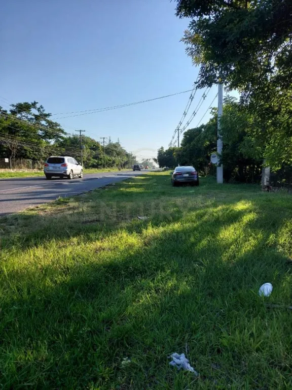 TERRENO DE 6,5 has sRuta 3 Gral. Elizardo Aquino, pIndustria o Ctro Logístico - Limpio. — foto 3