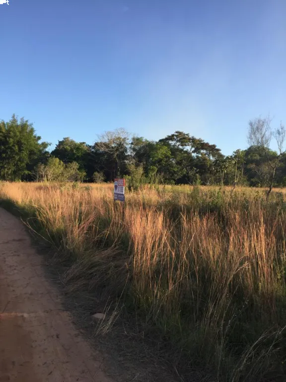 VENTA DE TERRENO A METROS DE LA AVDA. NAUMANN EN ALTOS — foto 2