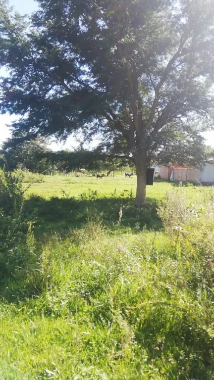 En venta hermosa propiedad en Itauguá — foto 3